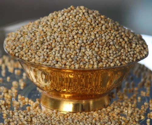 Green Millet